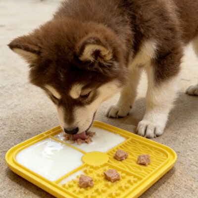 Buy Eco-Friendly Silicone Dog Lick Pad Dog Feeder Bowl Accessory Cat/Dog Pet Silicone Lick Pad with Suction Cup online manufacture