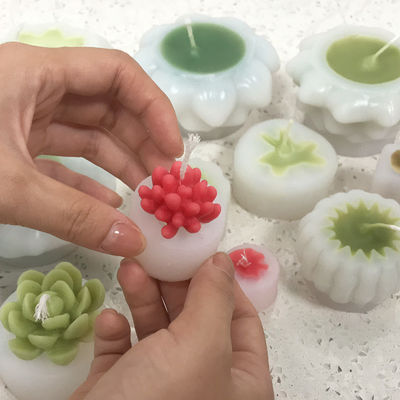 Succulent Candle Molds Durable MHC Unique 3d Candles Small Succulent Mini Making Kit Cake Tools Type Moulds